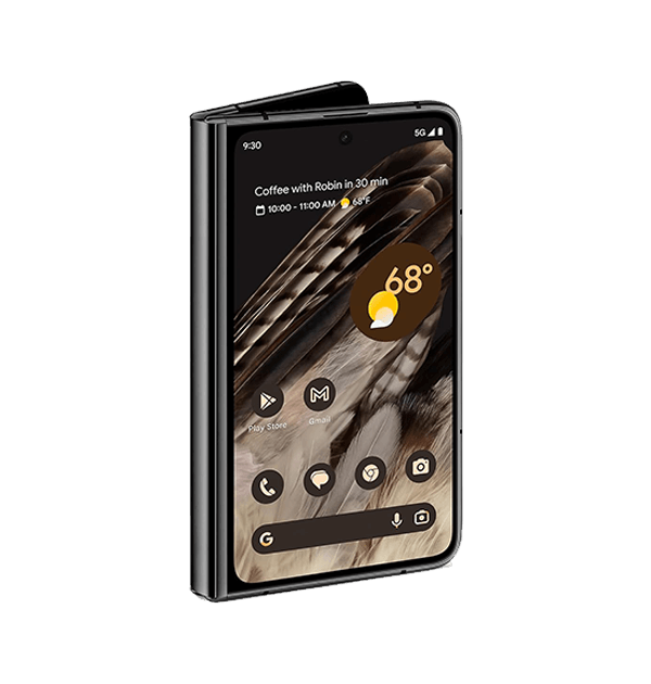 Google Pixel Fold Skins